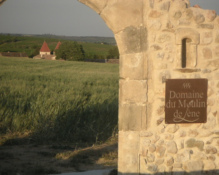 Domaine Moulin de Lène - Côtes de Thongue 