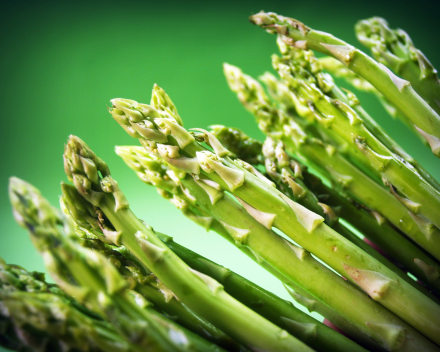Welke wijn bij de Asperges ?