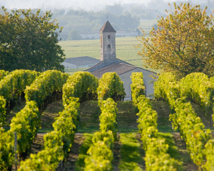 Domaine Claouset - Bordeaux Supèrieure 