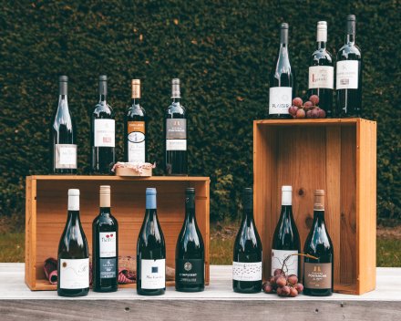 Lekkere wijnen ontdekken bij u thuis ?