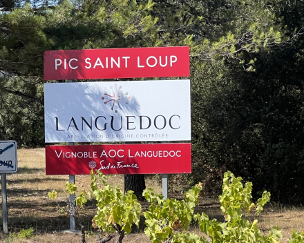 Ontdek Languedoc & Roussillon bij Wijnen Vansteenkiste 