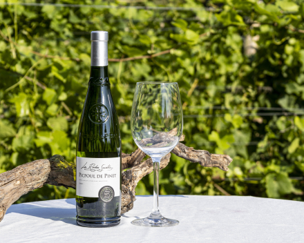 Picpoul de Pinet