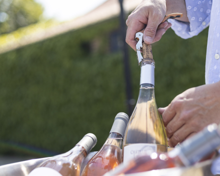 DOMAINE LALIS - CORBIERES 