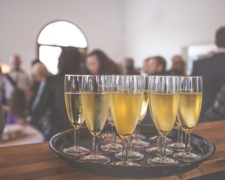 Uw feest geslaagd met Wijnen Vansteenkiste
