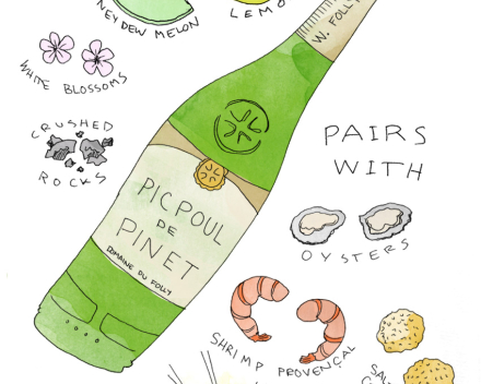 Mosselen of Oesters ? Perfect match met Picpoul !